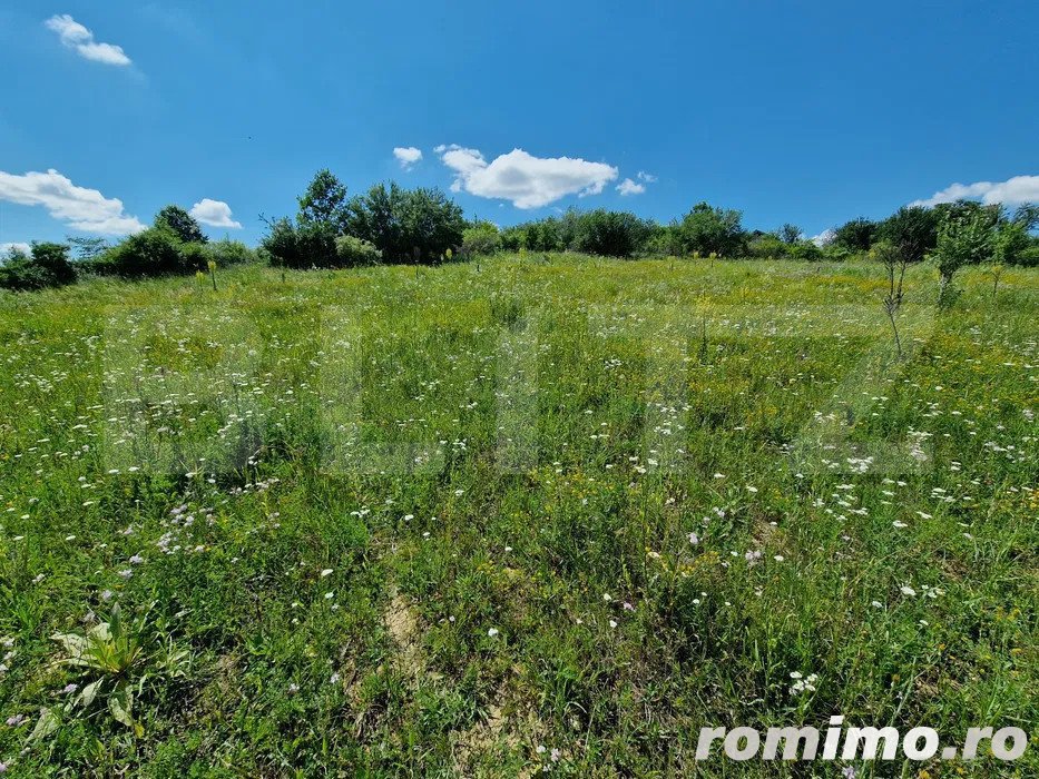 Teren intravilan 780mp Barnova Iasi