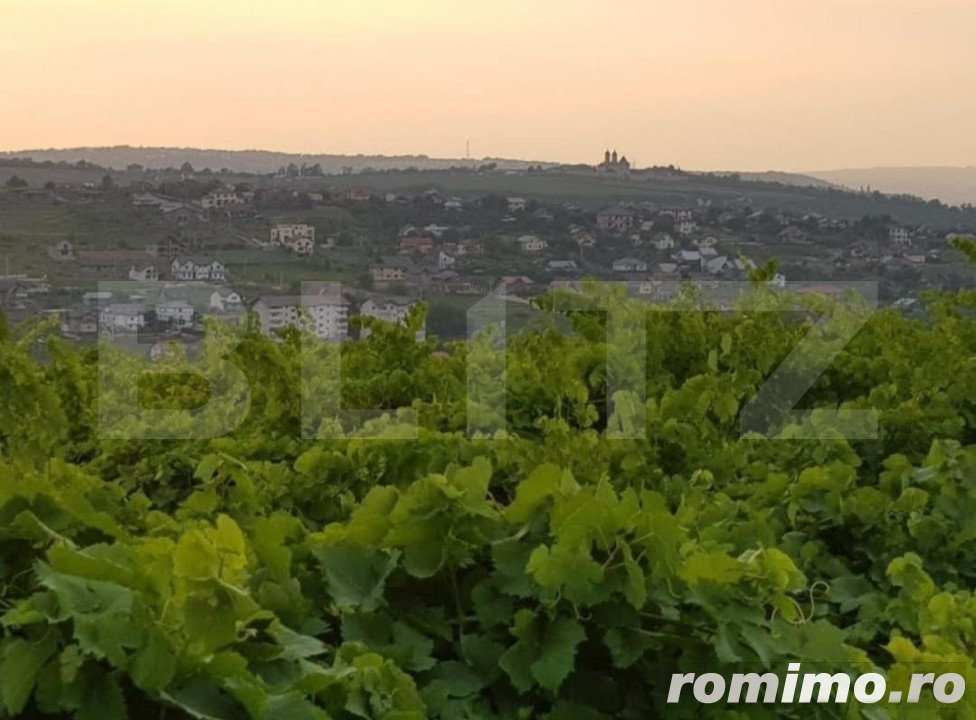 Teren intravilan, 1600mp, Visan Iasi