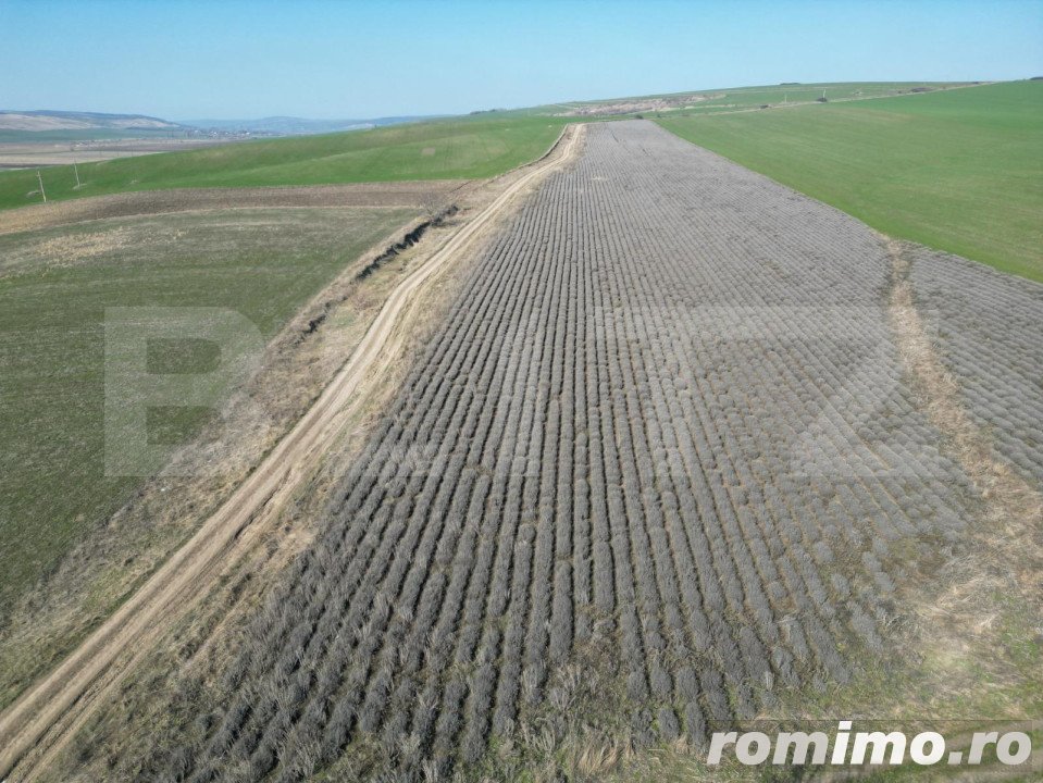 Teren de 4.5ha pretabil pentru panouri fotovoltaice, Dobrovat