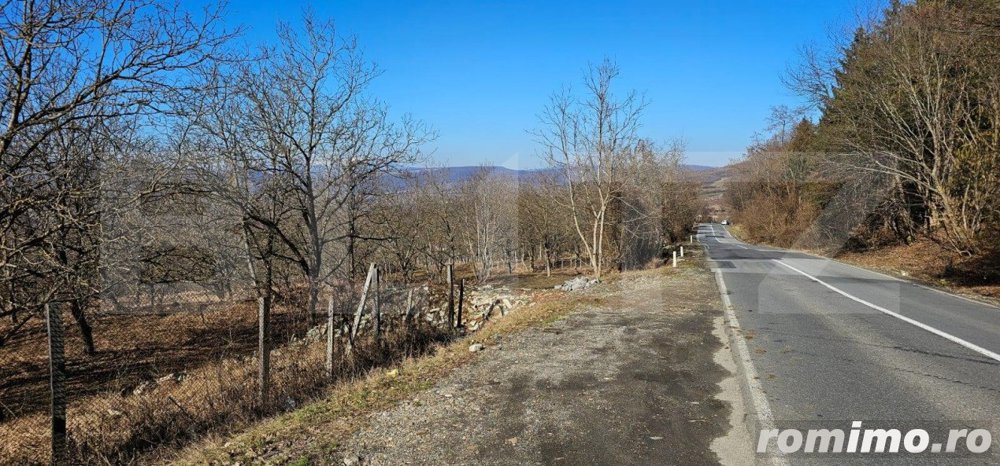 Teren de 30 de ari, Dumitra, 5km de Bistrita