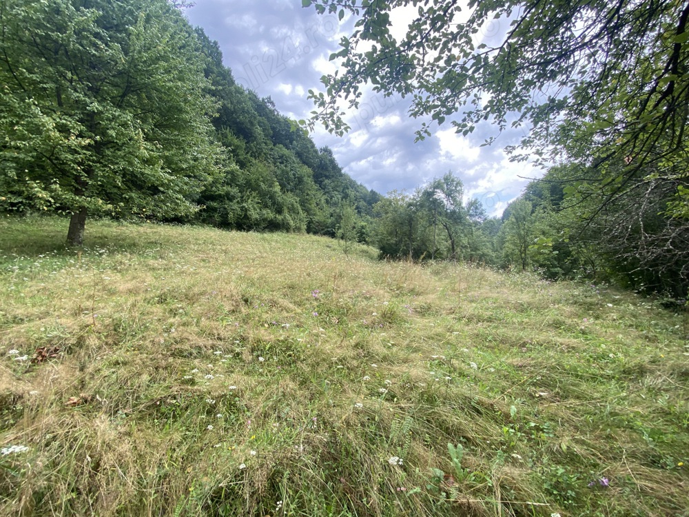 De Vanzare teren 7500m2 o parte livada, parte faneata in Herculane langa baraj