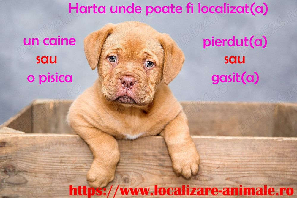 Harta nationala cu localizare pentru animale pierdute