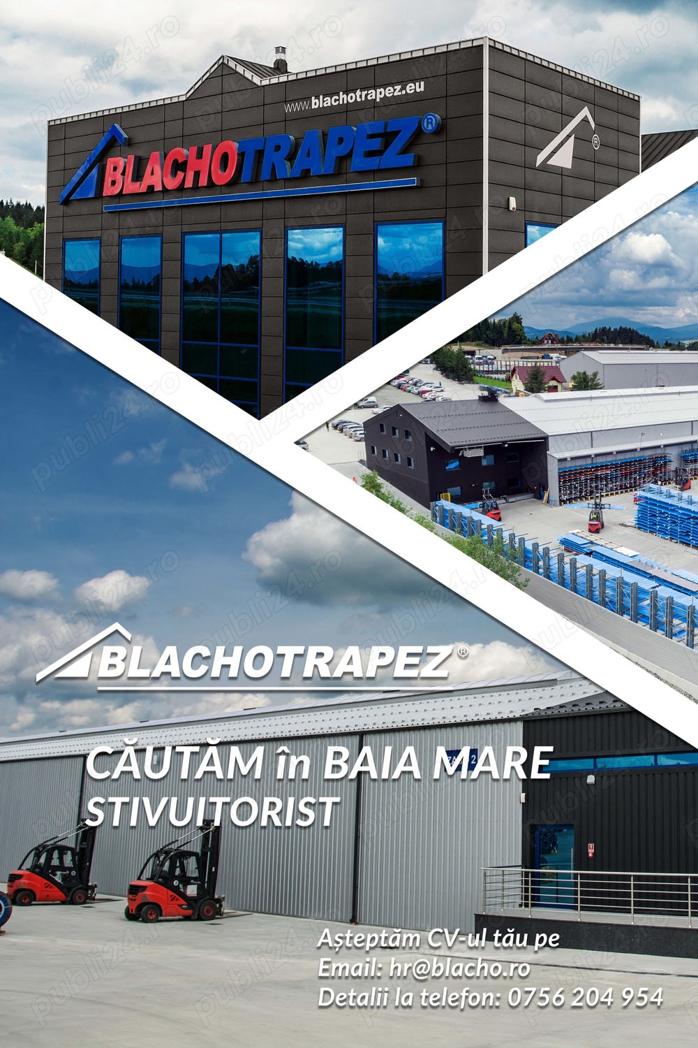 Stivuitorist - Baia Mare