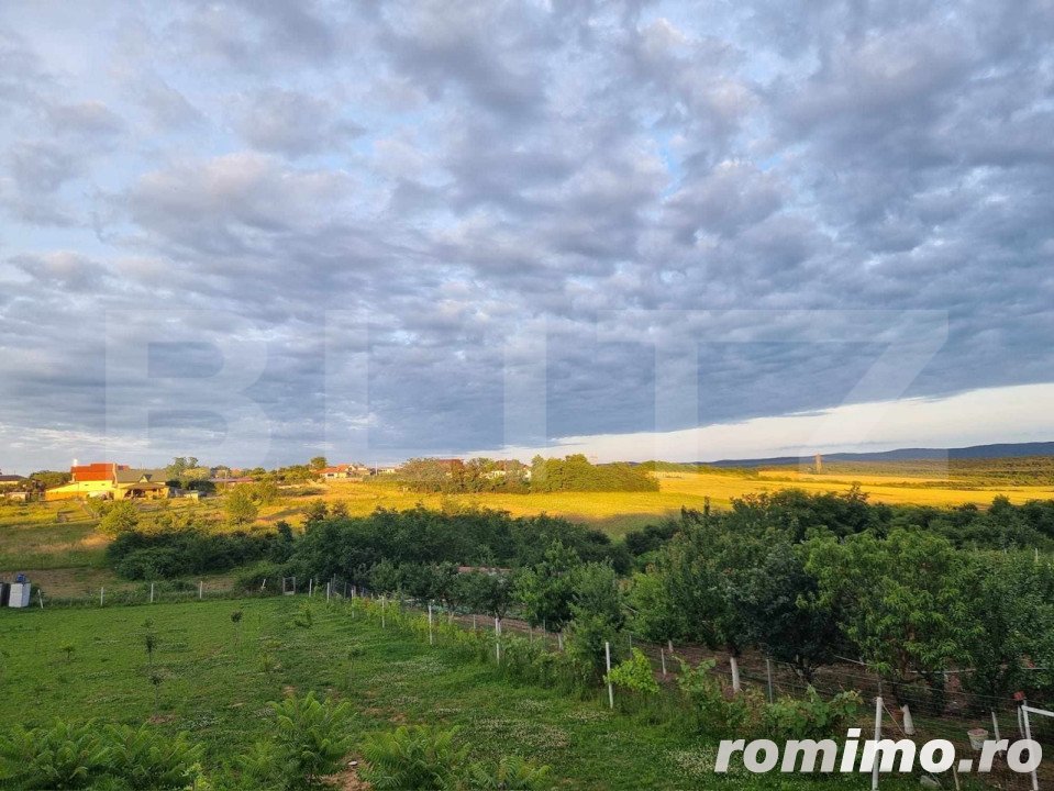 Casa/Vila de vanzare / posibil  Pensiune ,cu view și pădure la colțul străzii