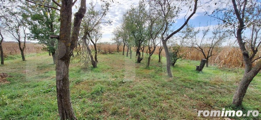 Casa bătrânească cu anexe , teren de 4200mp, zona Madaras