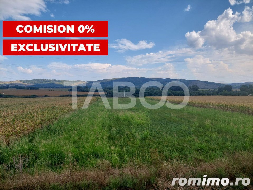 Teren extravilan agricol 6634 mp utilitati in zona Santimbru Alba 