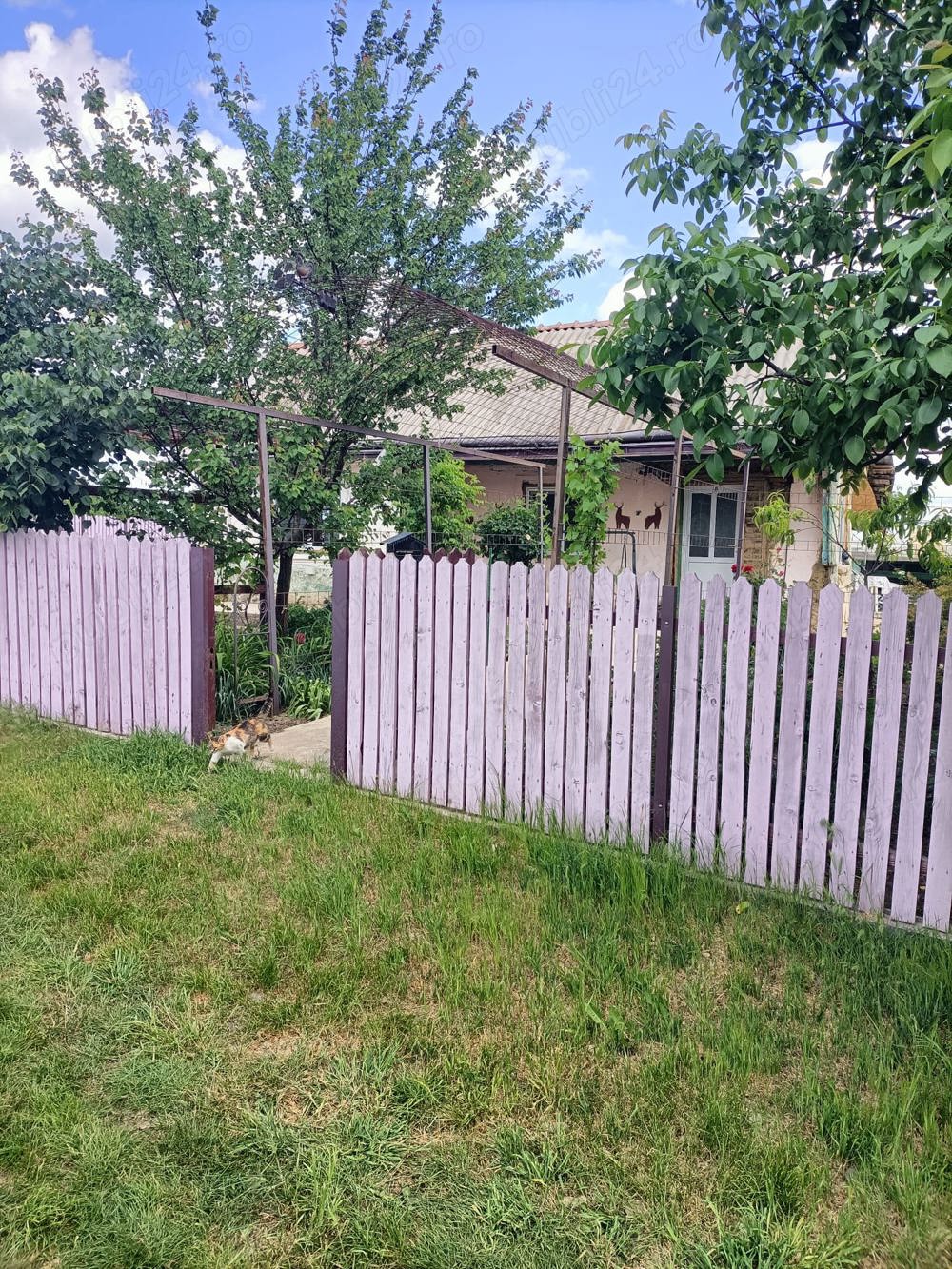 Vand casa in Barsanesti, judetul Botosani, teren 3868 mp