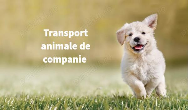 Transport animale de companie  Transport animale de companie
