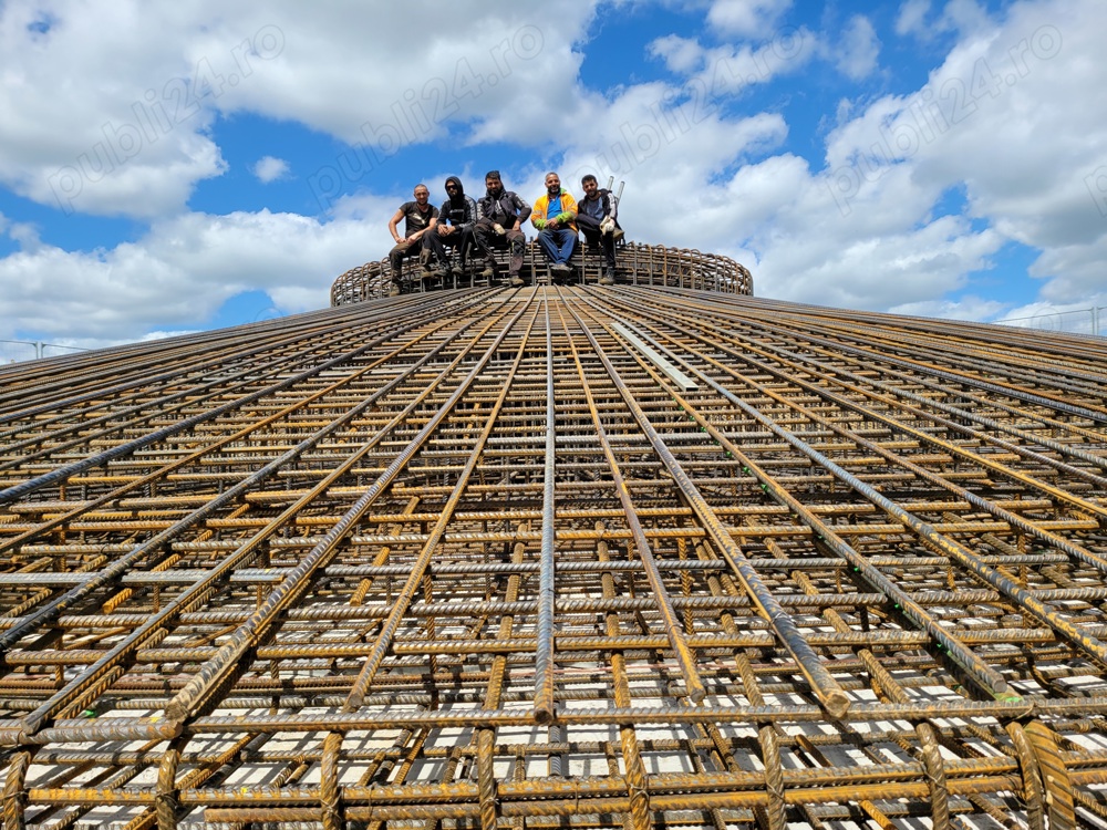 Urgent fierari pentru germania