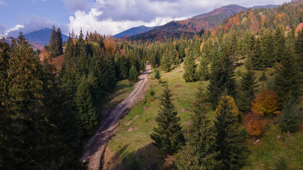 Teren intravilan de vânzare Colibita 