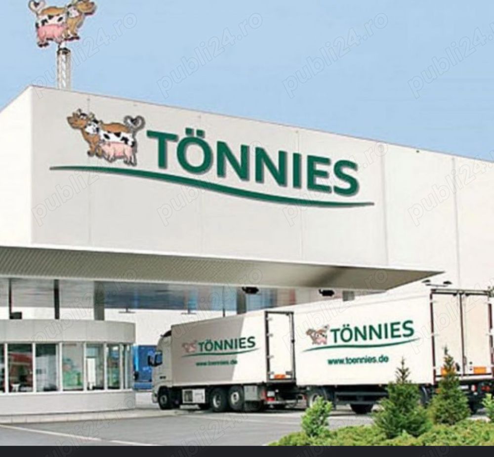 Tranșatori in Germania  Tranșatori in Germania