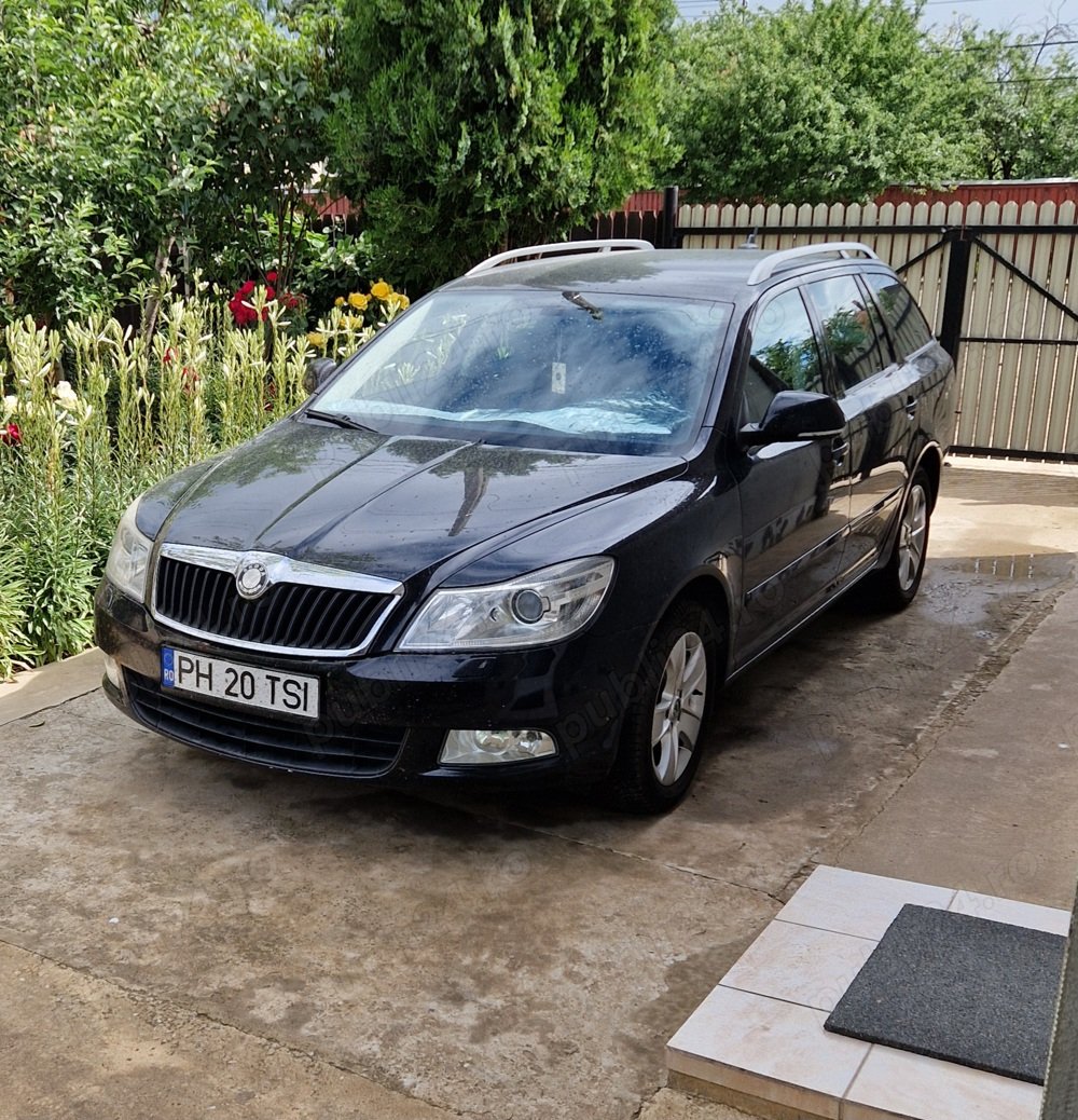 Skoda Octavia. model Business.