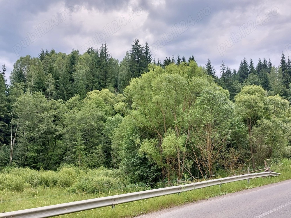 Teren intravilan Sarul Dornei, Vatra Dornei