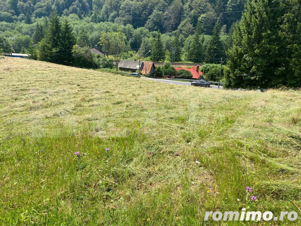 Oportunitate de Investiție: Teren de 10.000 mp la Intrarea în Predeal