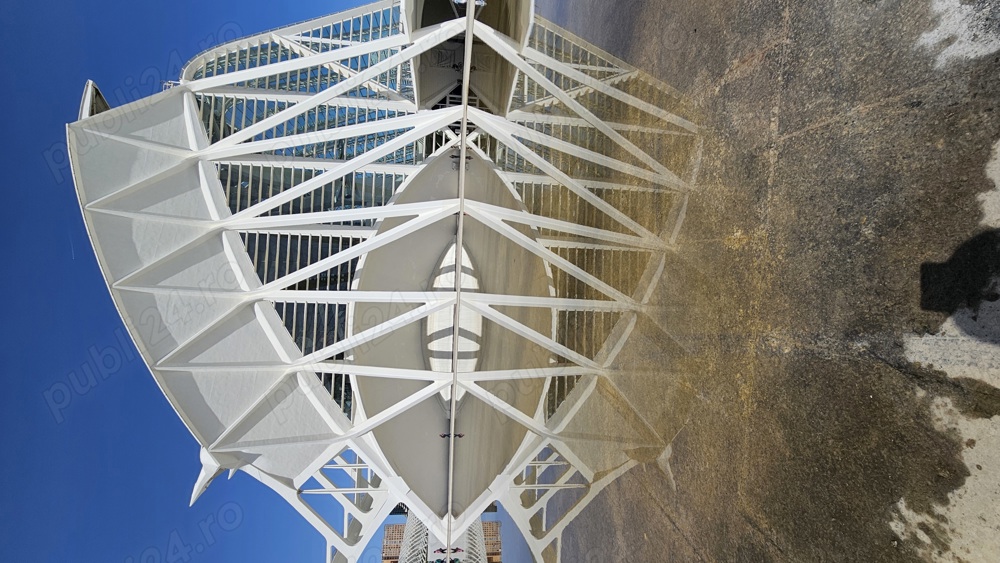 Responsabil tehnic cu executia ( RTE )