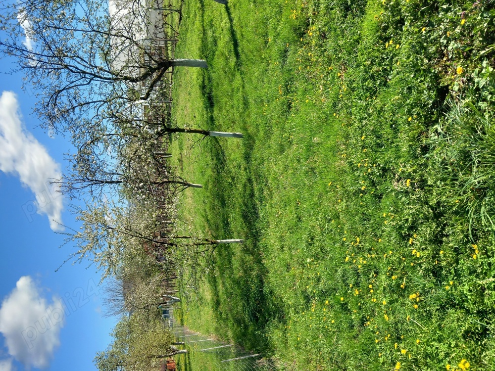 Vind teren intravilan 