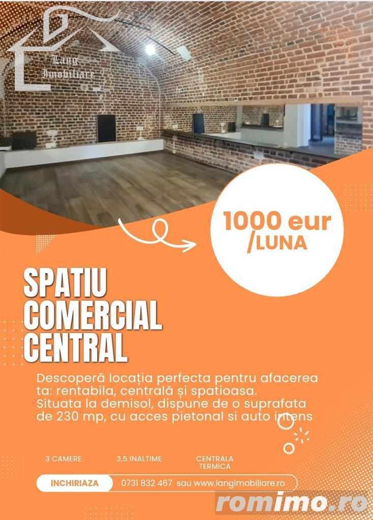 SPATIU COMERCIAL ULTRACENTRAL DEMISOL