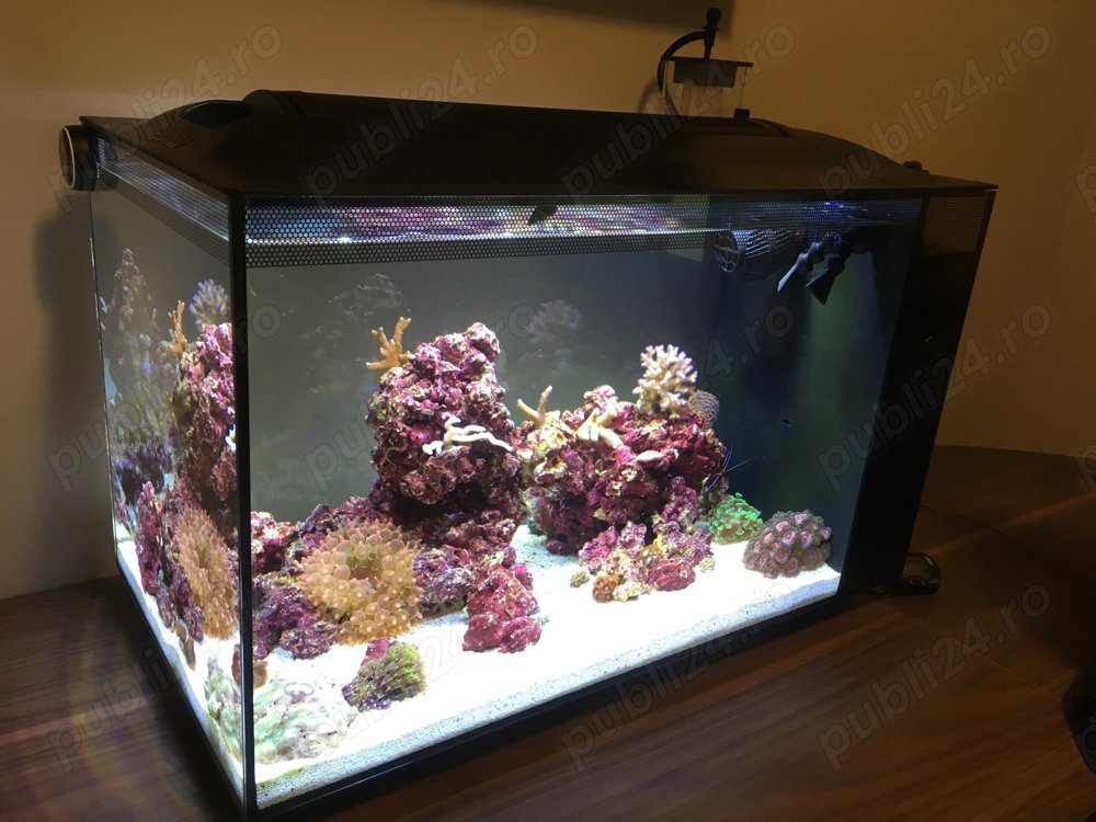 Acvariu marin Fluval Sea Evo 52L