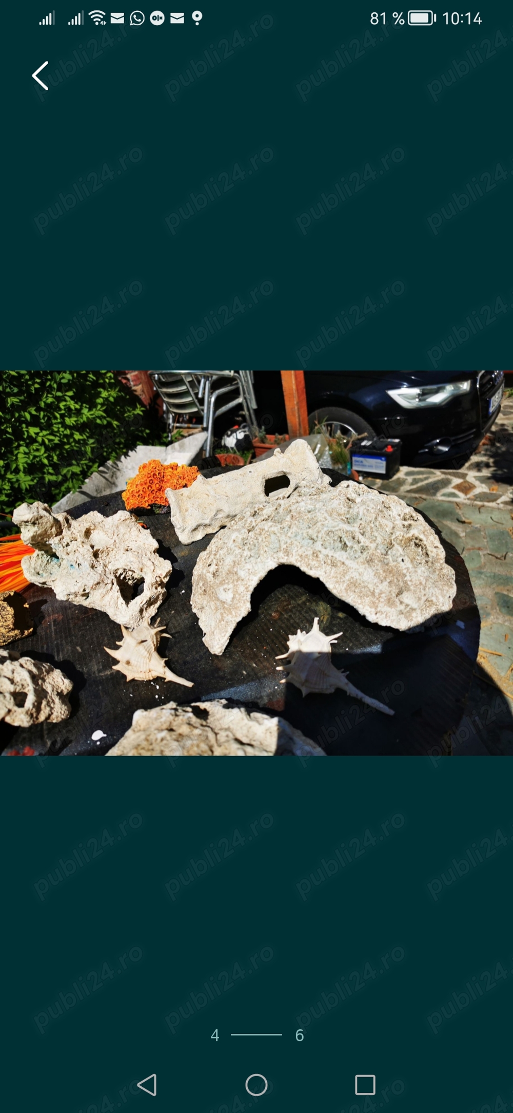 Vand grote decorative ot acvariu