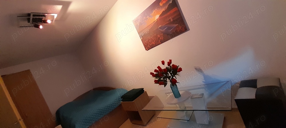 Apartament 3 camere regim hotelier