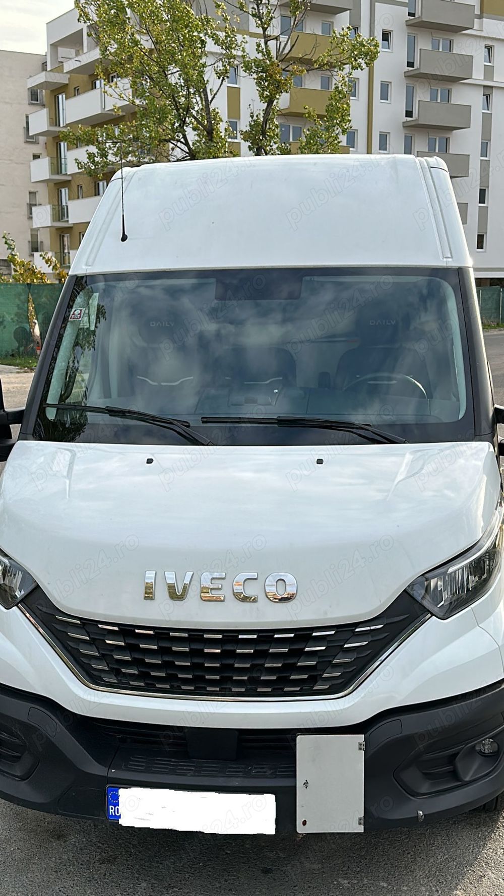 Sofer cat B (International)