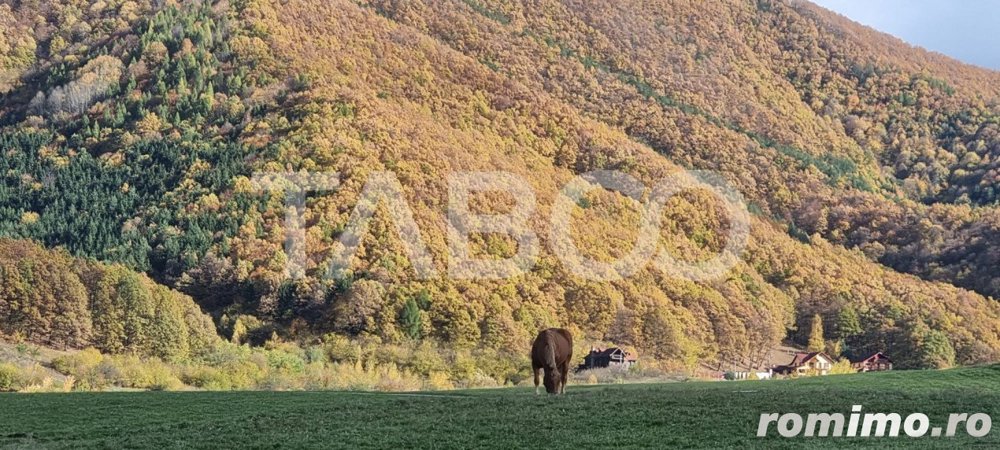 Teren 5000 mp oportunitate investitie turistica Gura Raului Sibiu