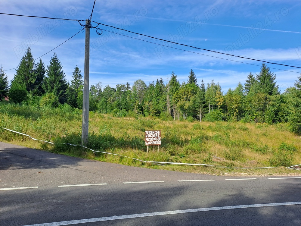 Vand 4200 m  2  la 4km de Beliș 