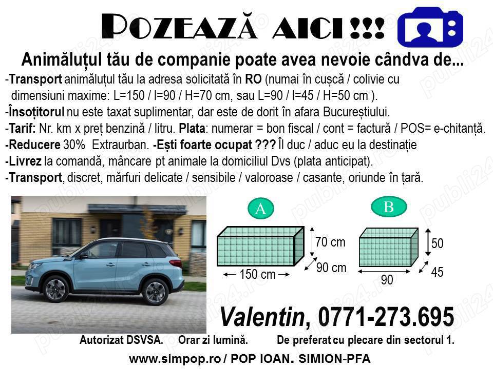 Transport auto în Romania Transport auto în Romania