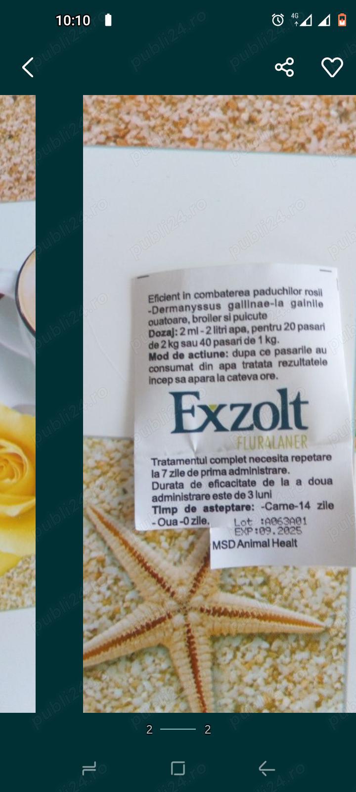 Exolt soluție păduchi 