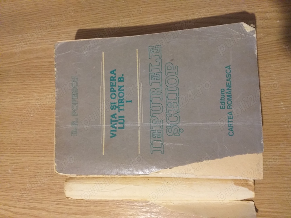 D. R. Popescu - Viata si opera lui Tiron B. (volumul 1)
