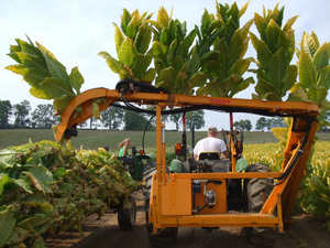 Utilaje recoltare canepa