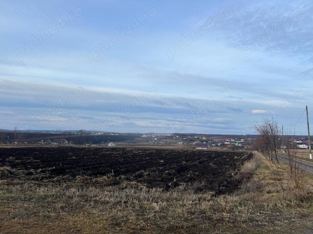 Teren Extravilan Dealu Mare (Dorohoi)