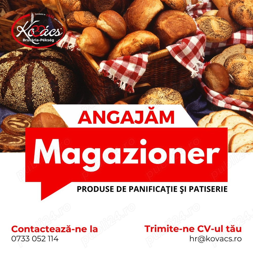 Magazioner Brutaria Kovacs