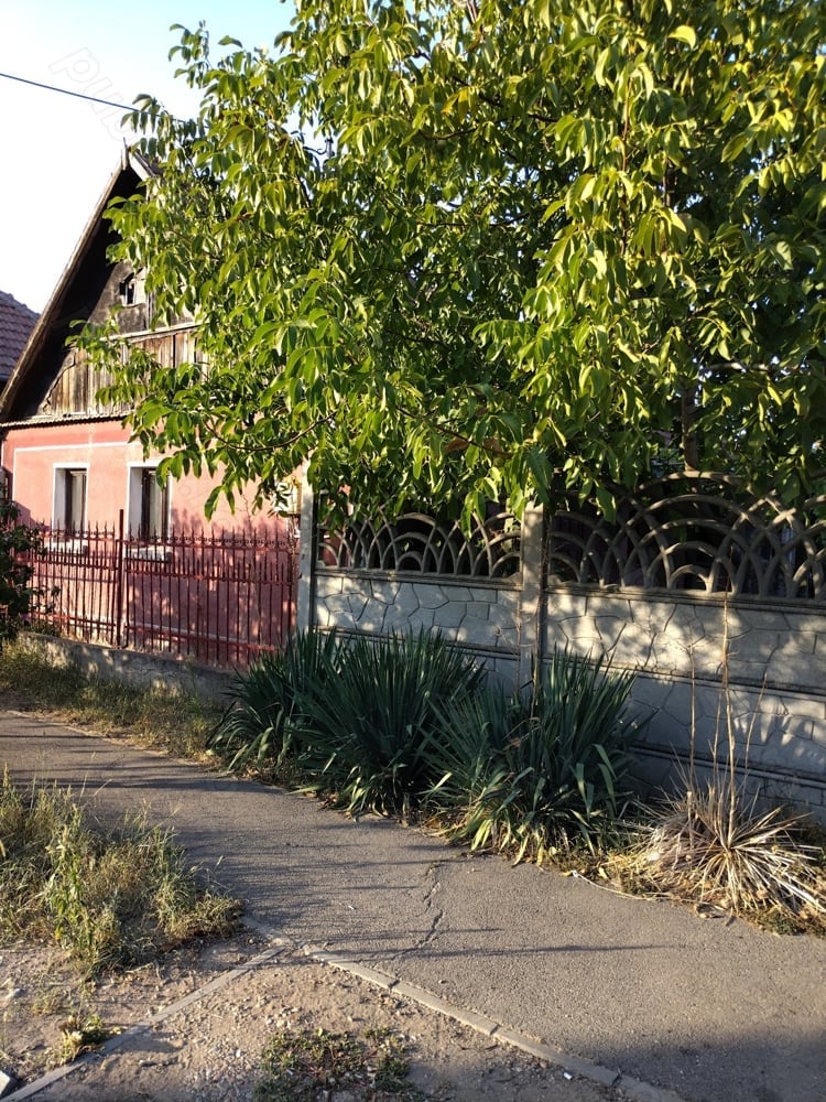 Vand sau schimb teren loc de casa 12 ar, zona buna cu toate utilitatile in Episcopia