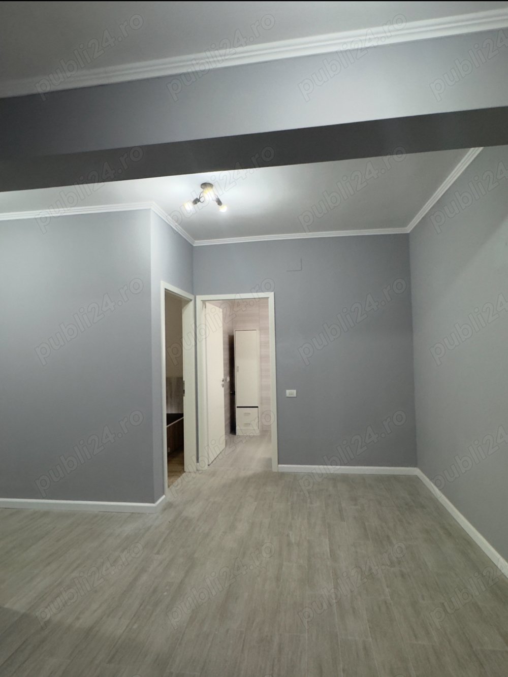 Apartament 2 camere (renovat)