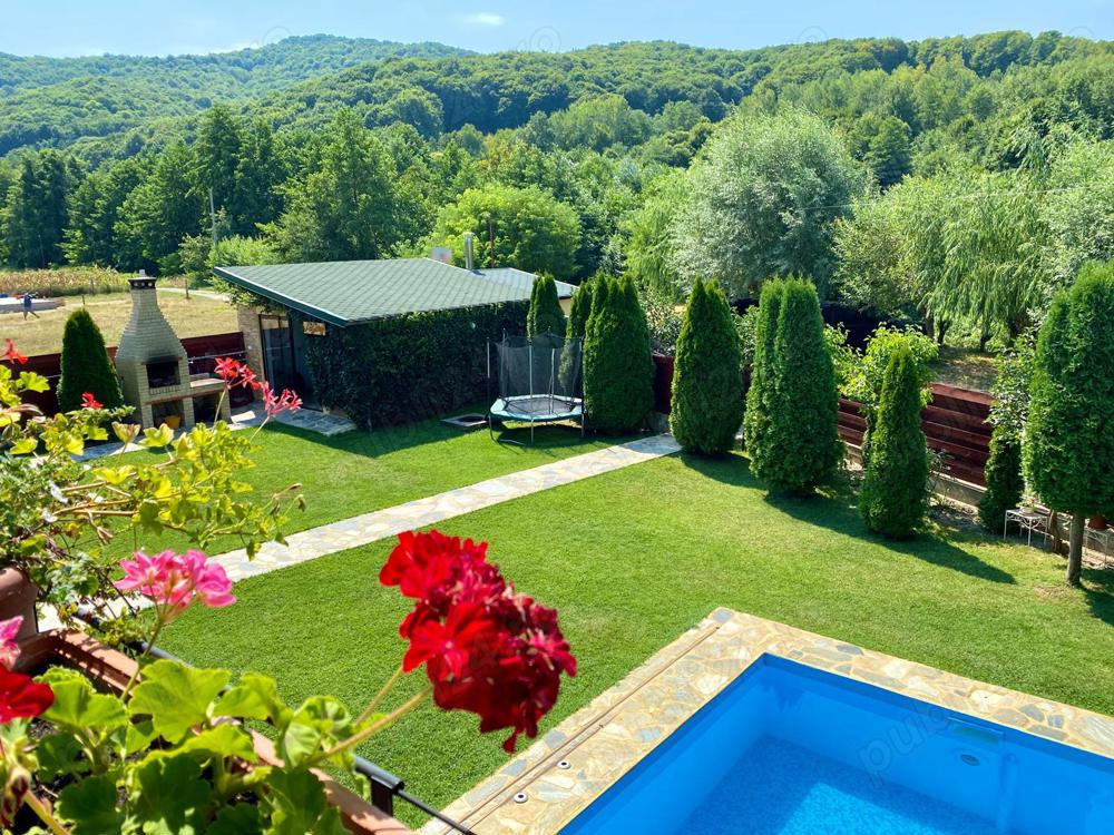 Vand vila cu piscina in Budesti, Valcea