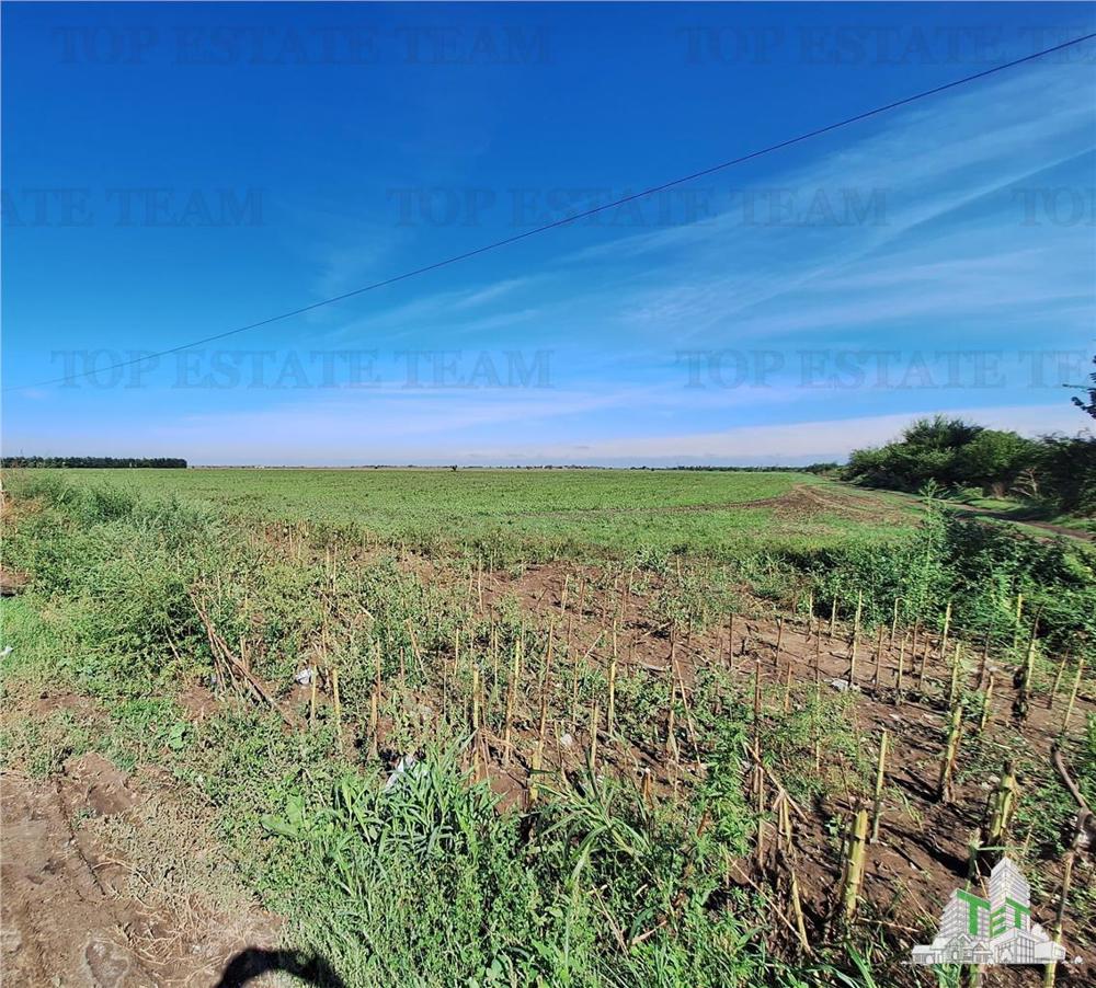 Teren extravilan -Braila - Soseaua Focsani - vanzare