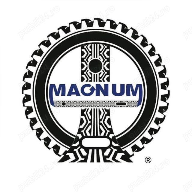 Agent de Vânzări - Distribuție Consumabile de Vulcanizare