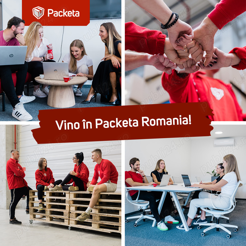 Sef tura depozit firma logistica-curierat Dragomiresti Deal