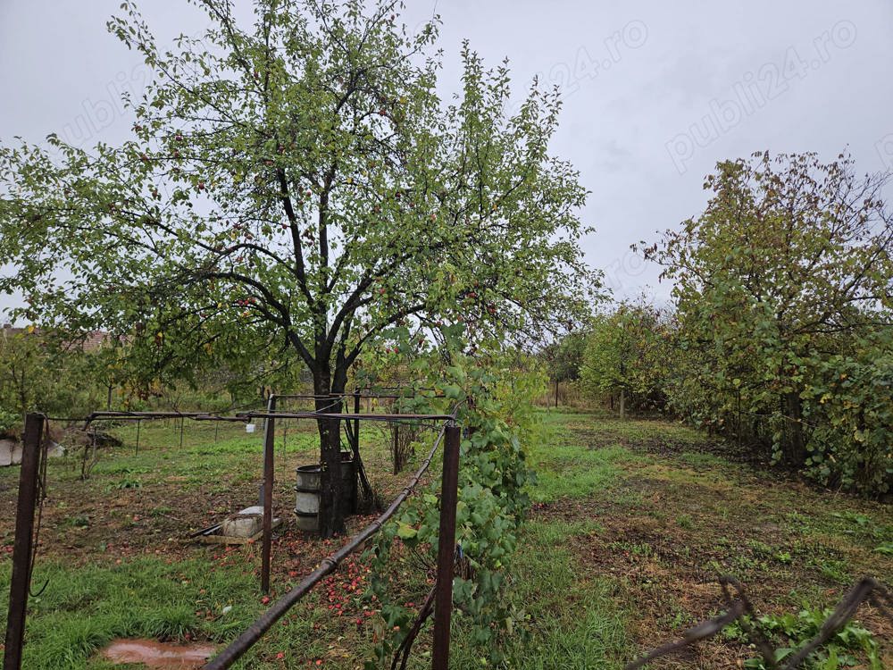 Casă care necesită renovare într-o locație liniștită și însorită în Făget, Timiș - Comision 0