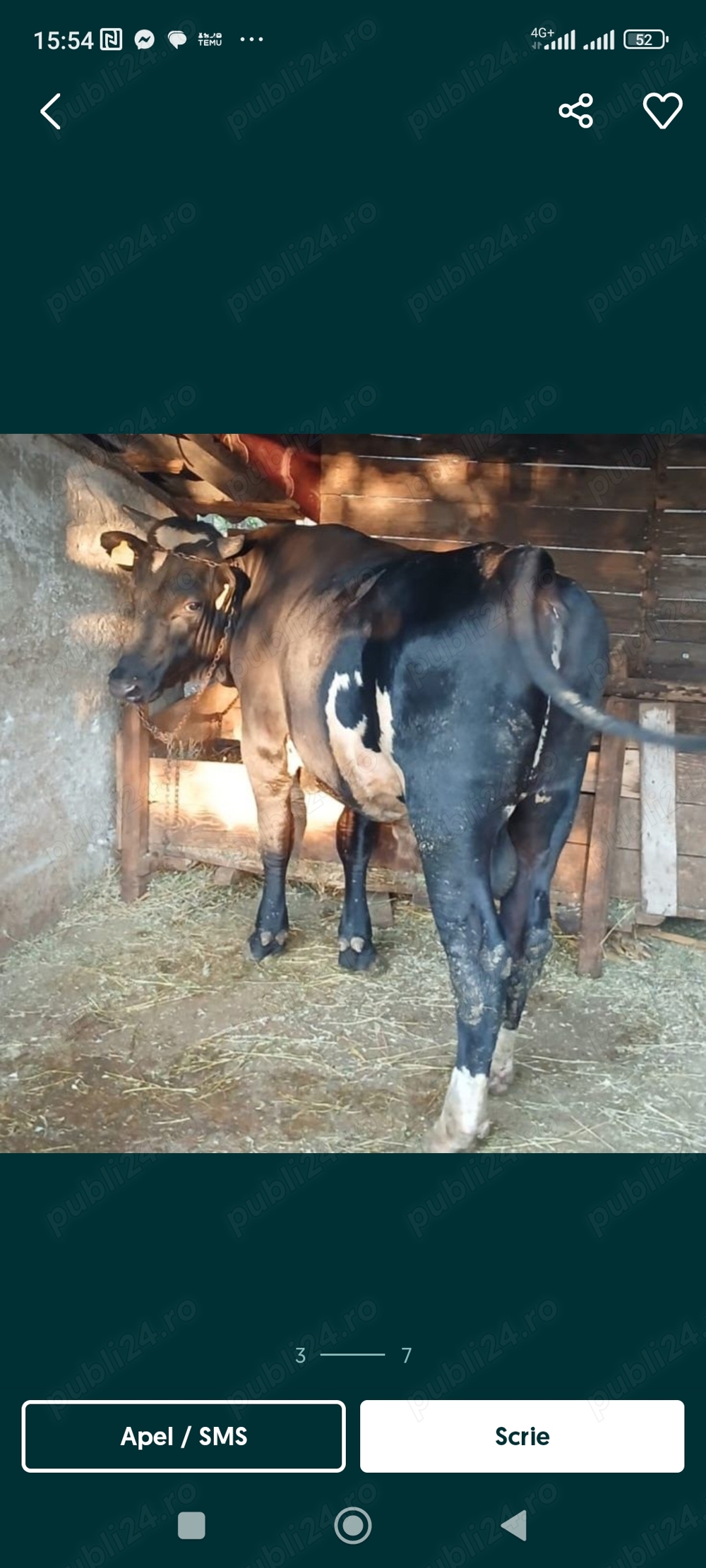 achiziții vaci.tauri.cai.oi achiziții vaci.tauri.cai.oi