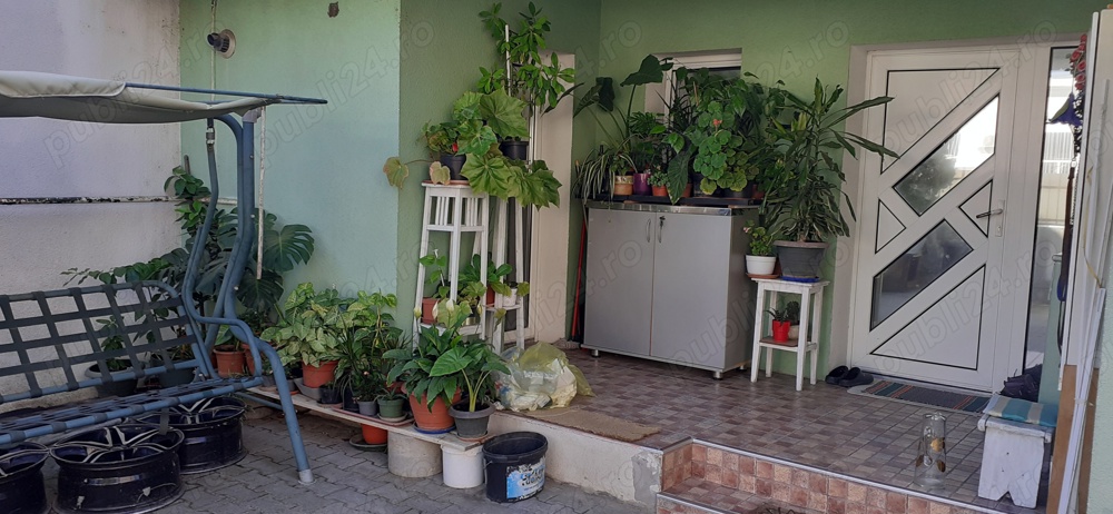 Vand  ghivece cu diferite Flori