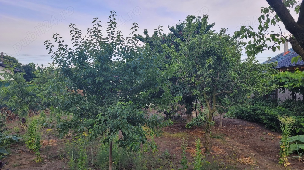 Teren pentru casa in Satu Nou, Medgidia, Jud. Constanta