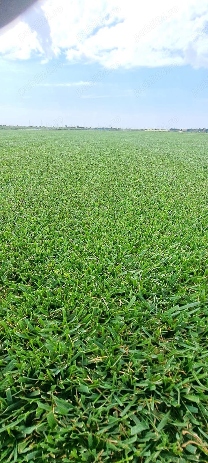 Rulou de gazon la cel mai mic preț 