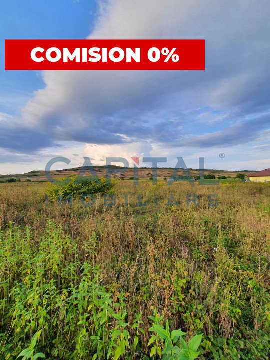 Teren intravilan 23750 mp, Zalau