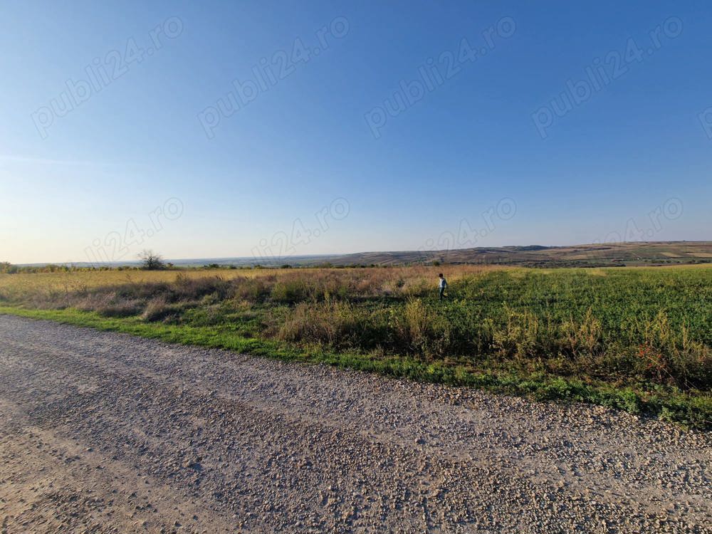 Teren intravilan in Paleu jud Bihor
