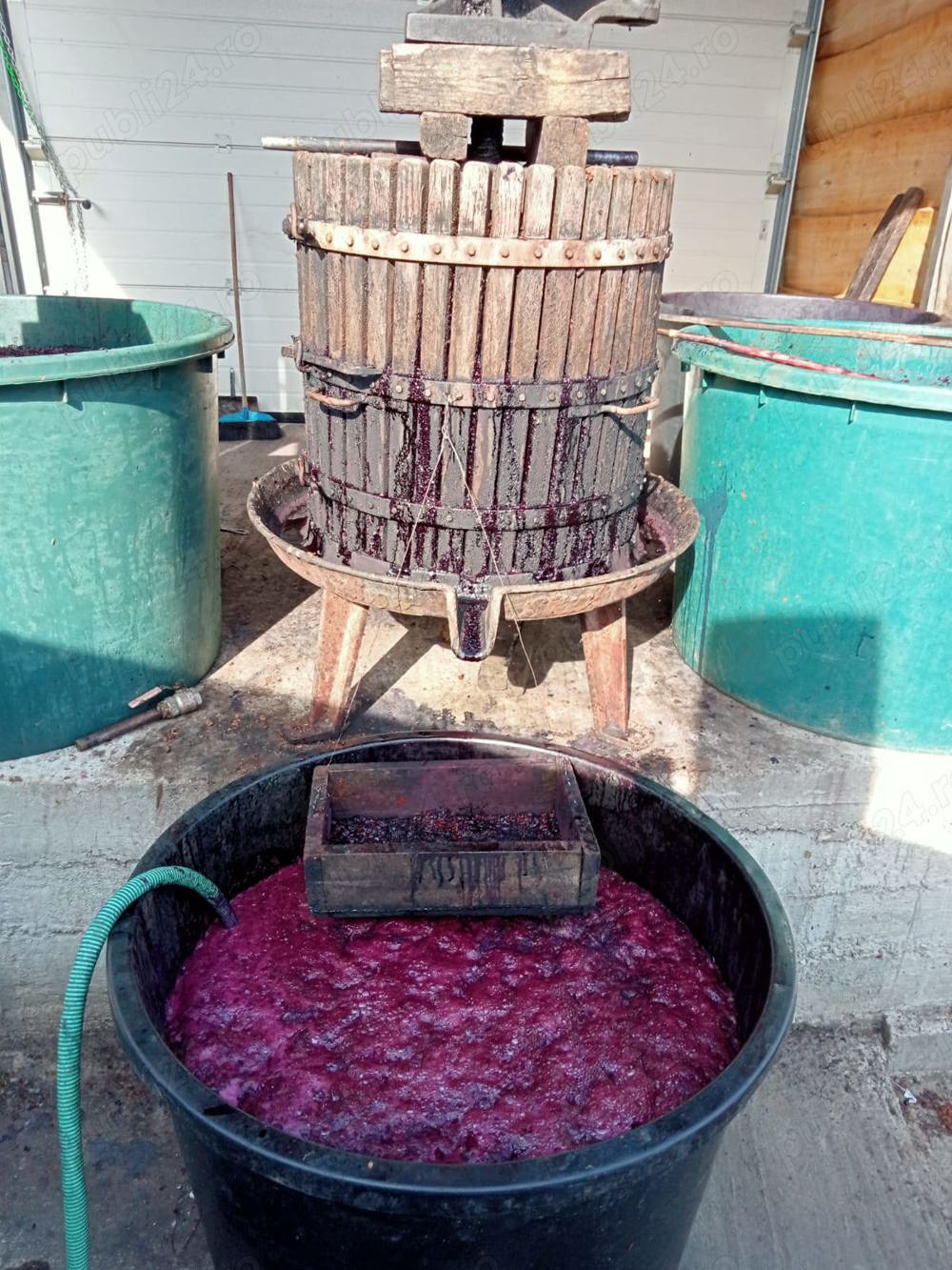 Must și struguri roșii moldova gata culesi 3lei