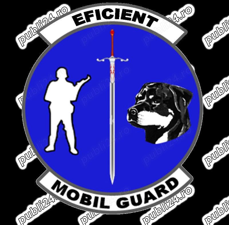 Angajam agent de securitate - Foisorul de Foc - Pachhe Protopopescuu  - program de zi luni - vineri