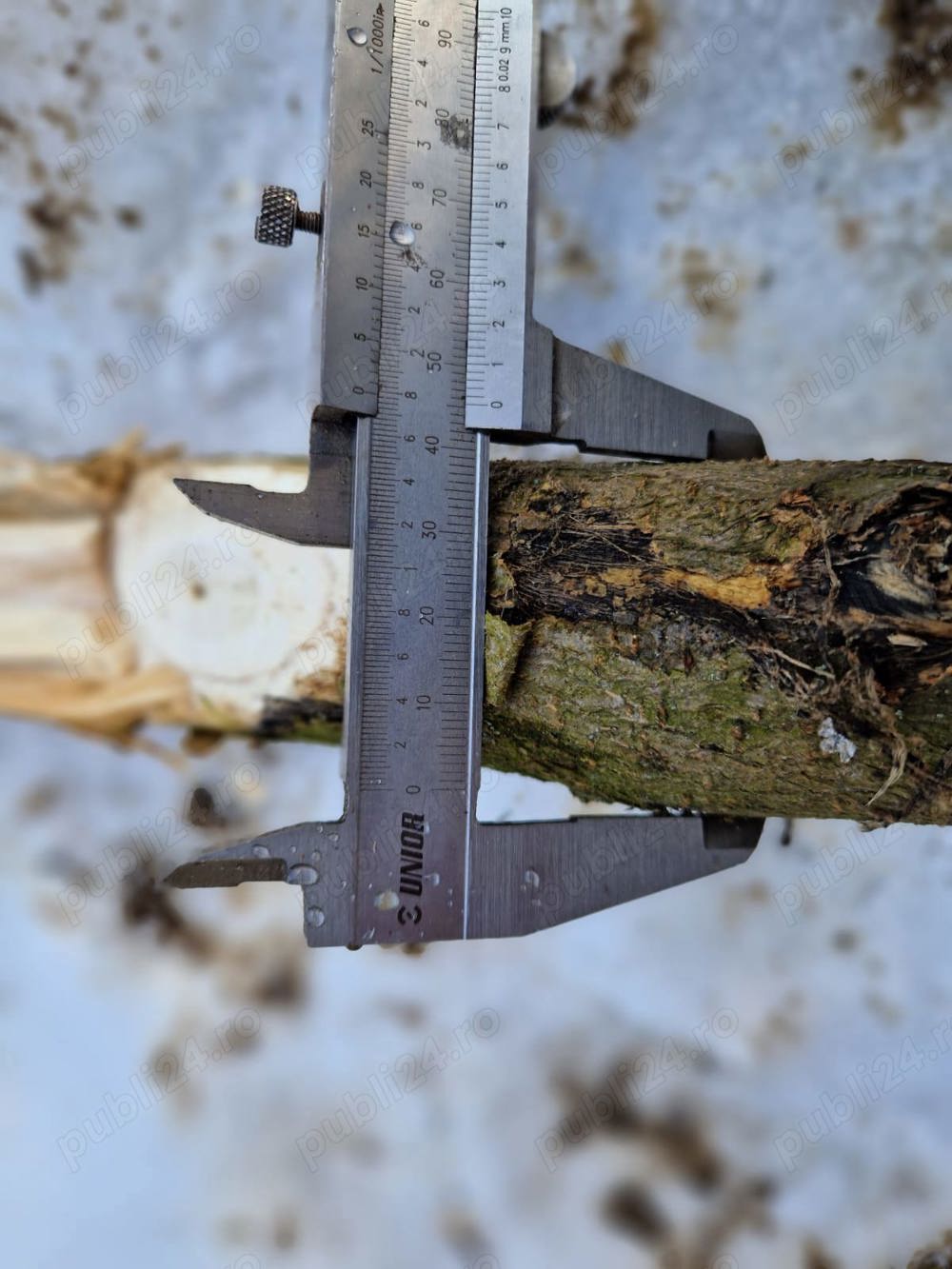 Gater & Tocator crengi Gater & Tocator crengi