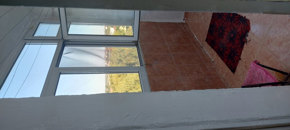 apartament 3 camere